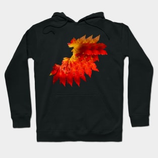 Autumnal fire colored leaves Hoodie